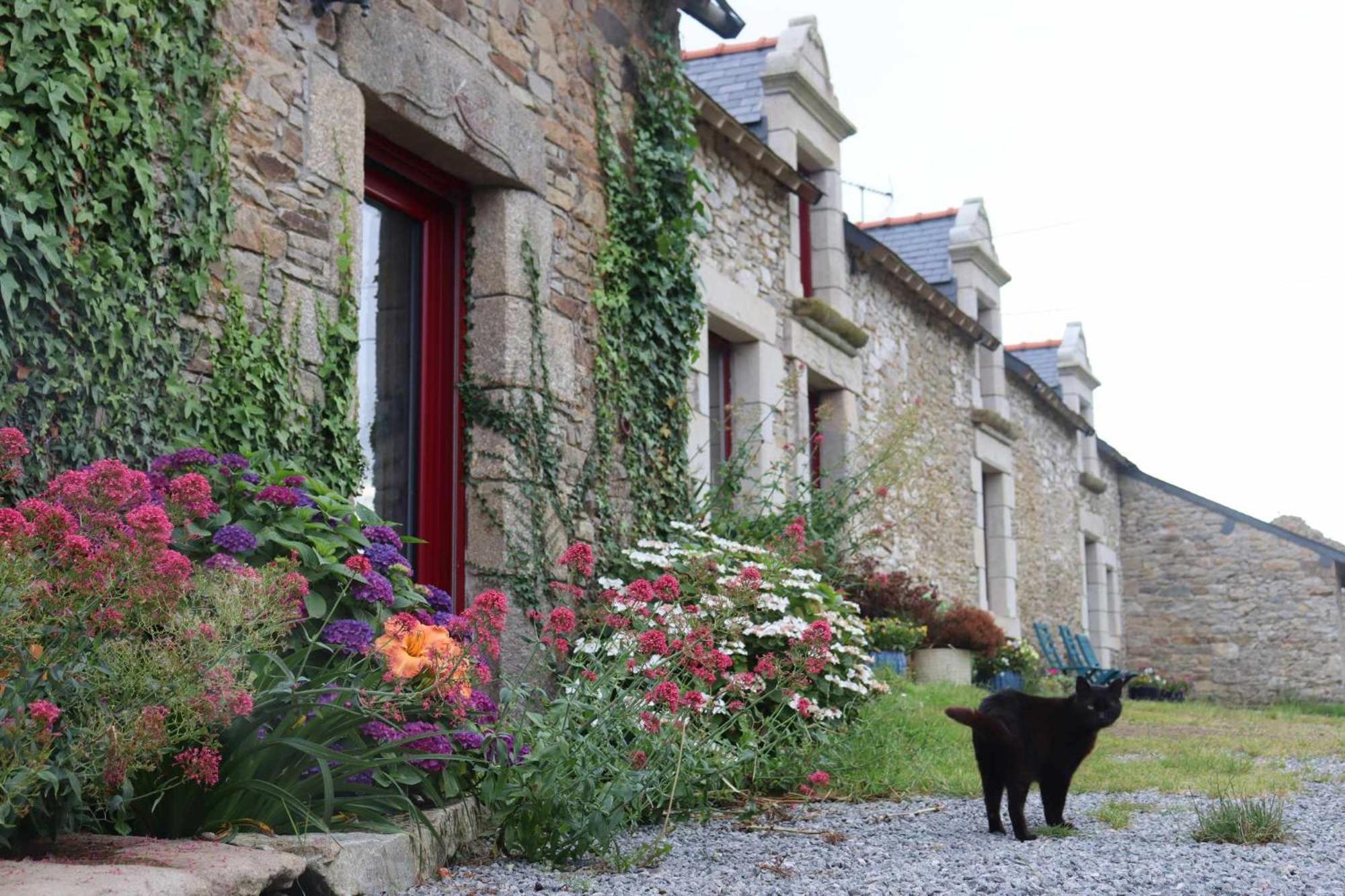 Bed and Breakfast La Petite Berais Missillac Екстер'єр фото